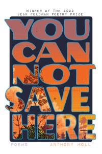 Book cover for You Cannot Save Here. The title is in block letters on a dark blue field with a white border.